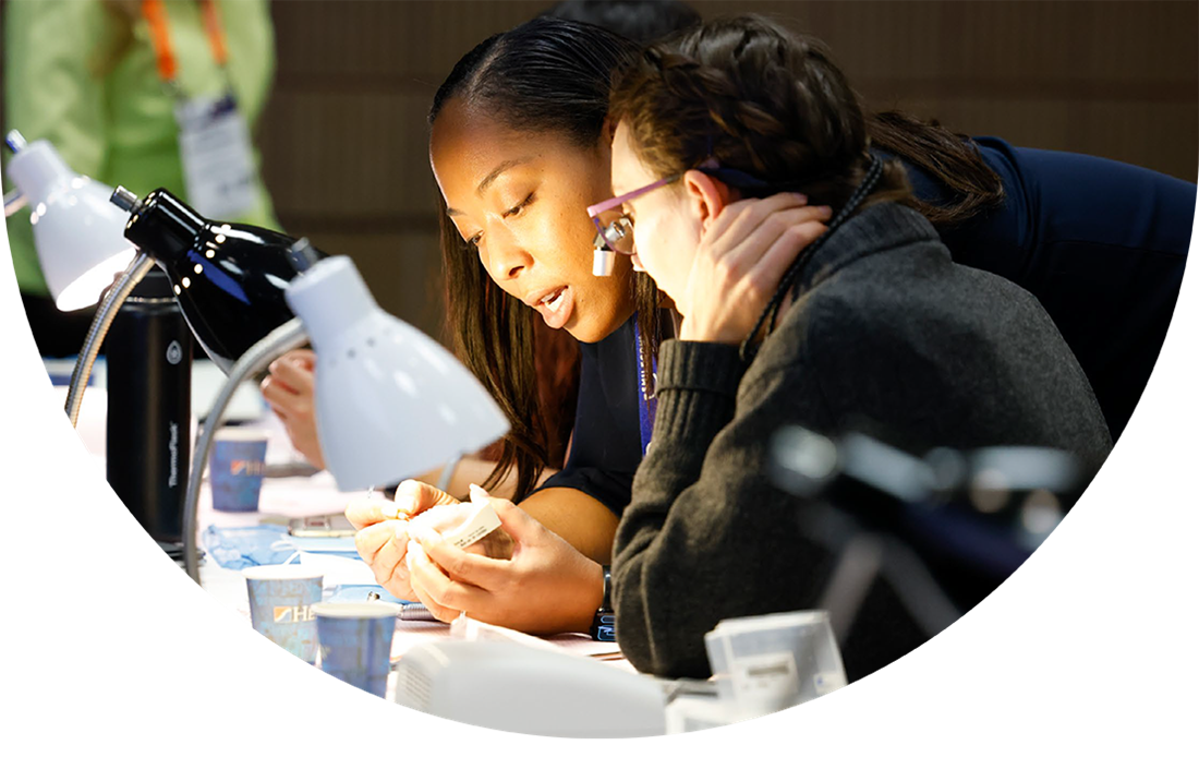 Image of people collaborating